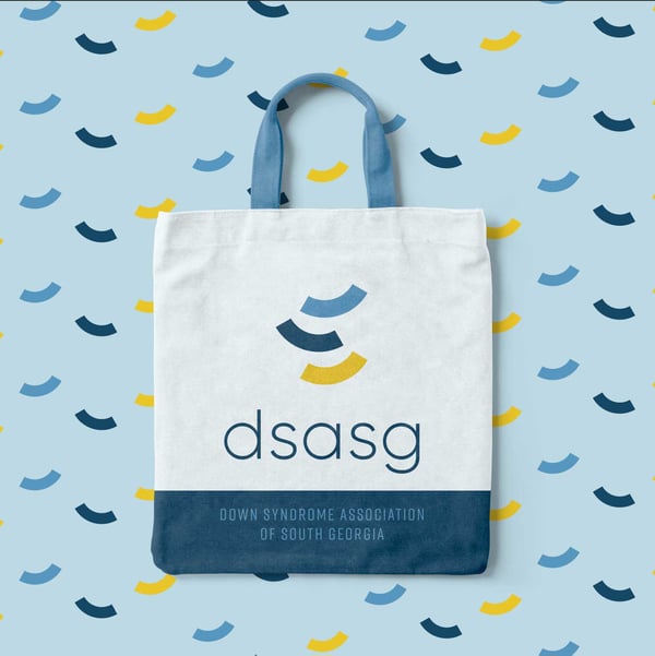 DSASG-BAG